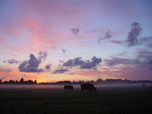 Zonsondergang bij Leiden