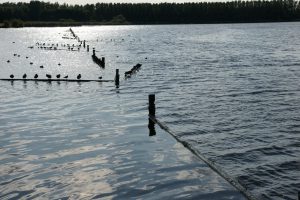 Licht en schaduw , Vogelplas Starrevaart