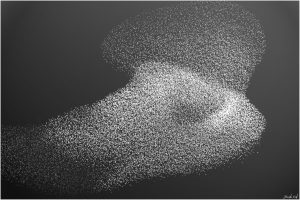 spreeuwendans in negatief omgezet