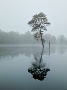 mist