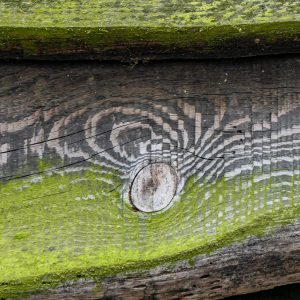 abstractie in hout