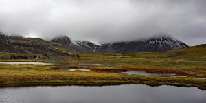 Arabel Pass 