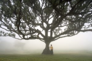 Madeira